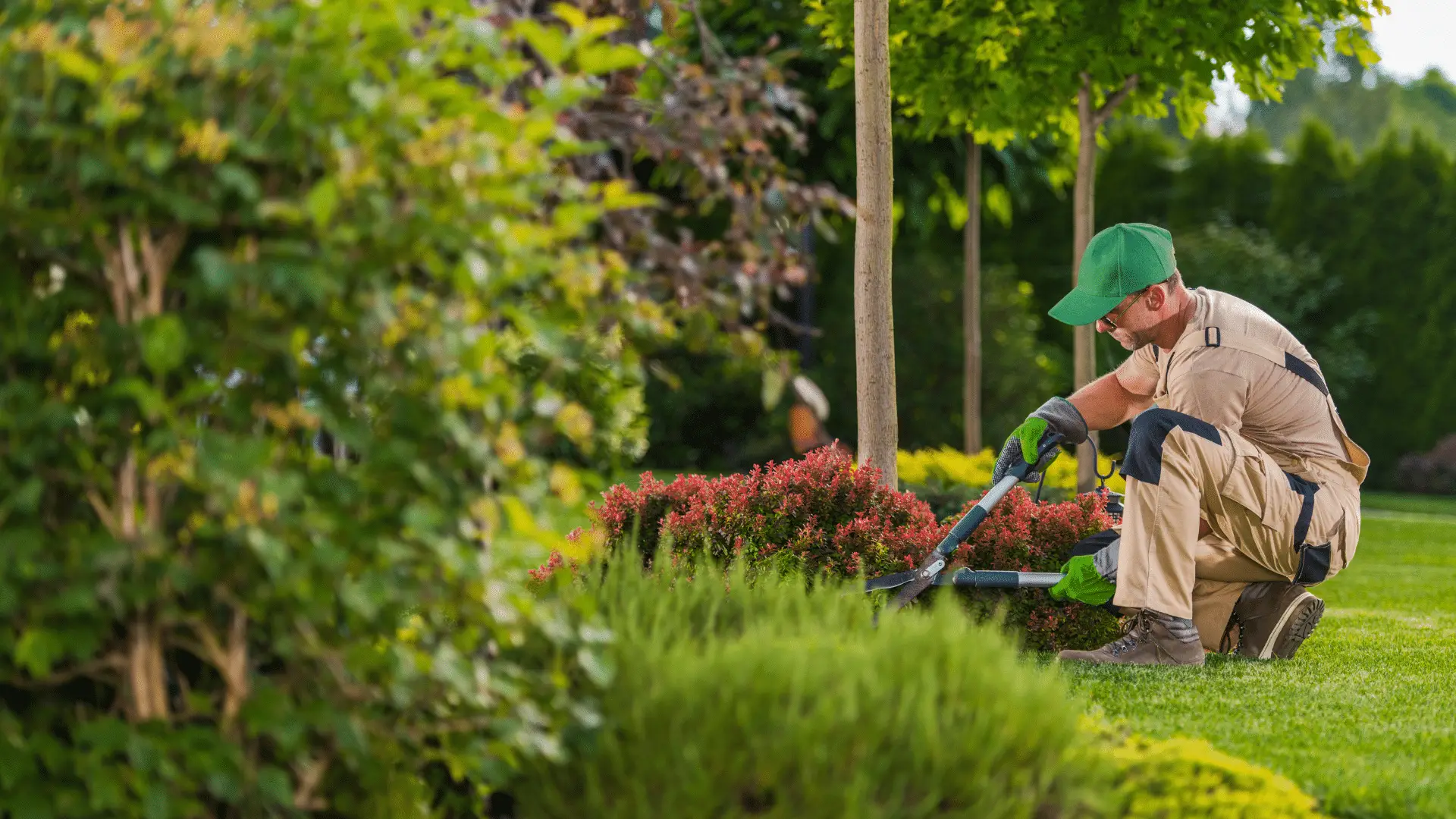 12 Reasons Why Gardening is Important