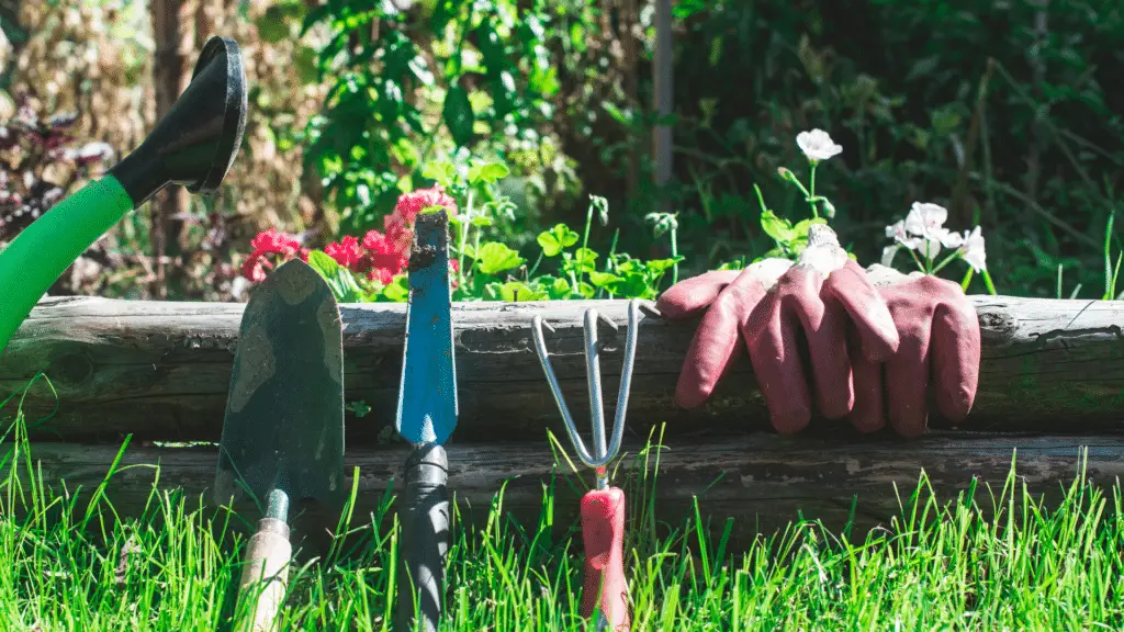 The Best 10 Garden Tools For Harvesting   Little Leafy