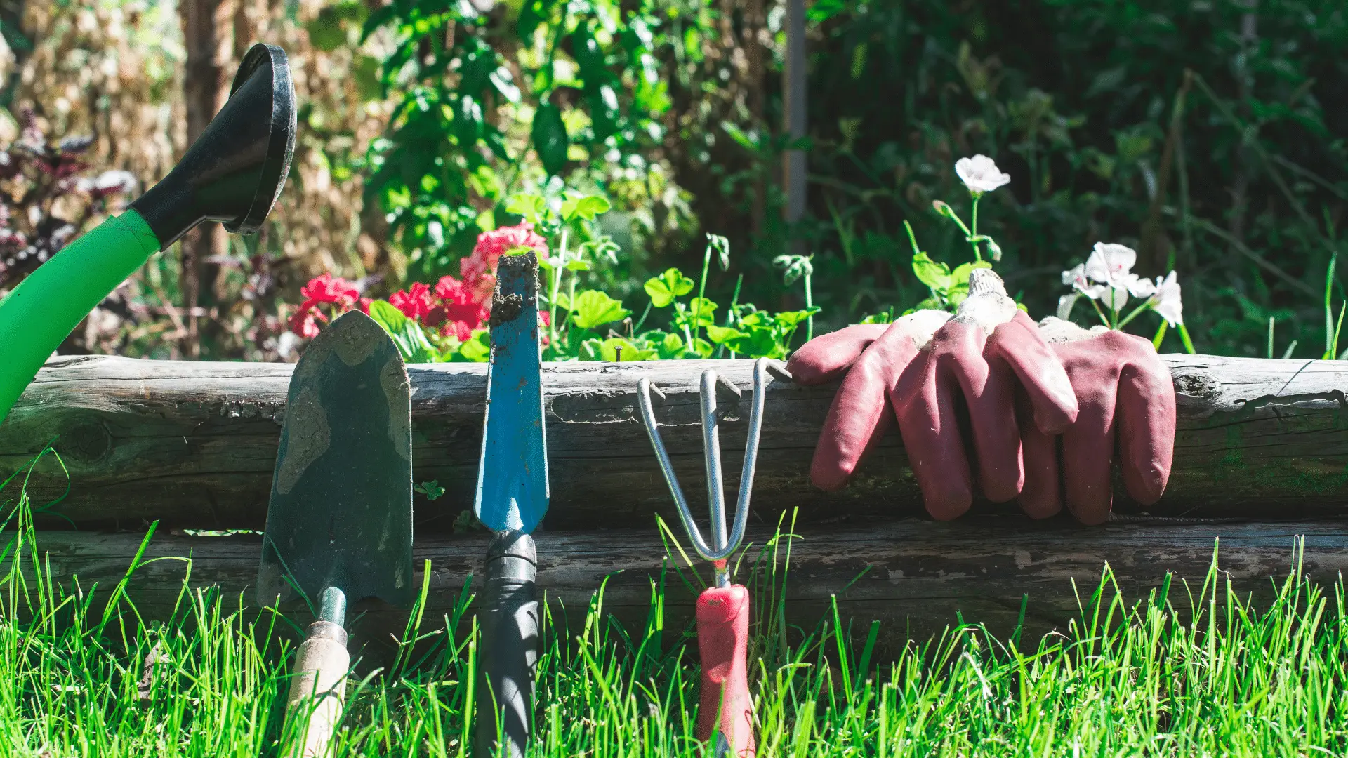 The Best 10 Garden Tools For Harvesting