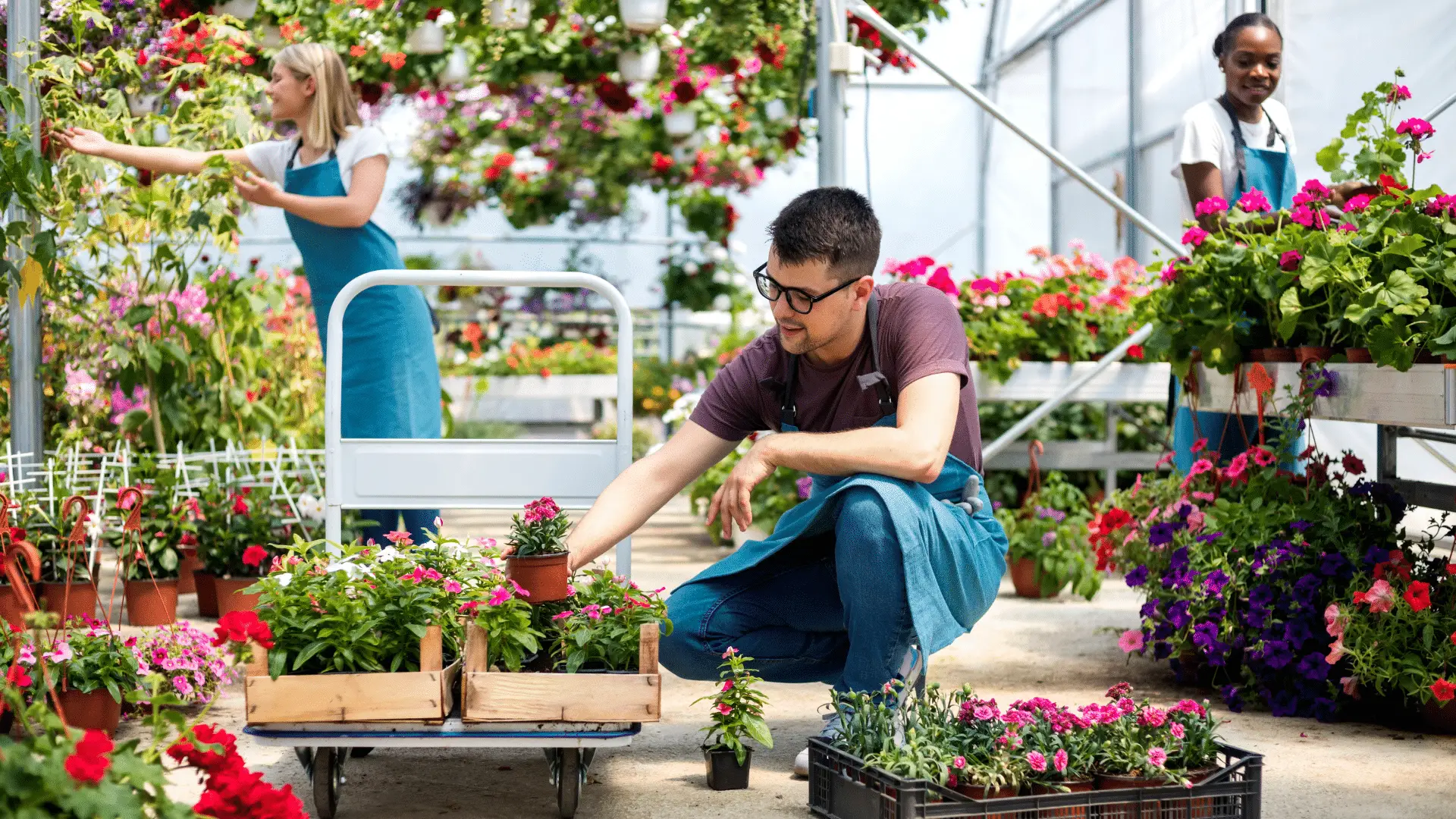 This Is How Much Garden Plants Will Cost You with