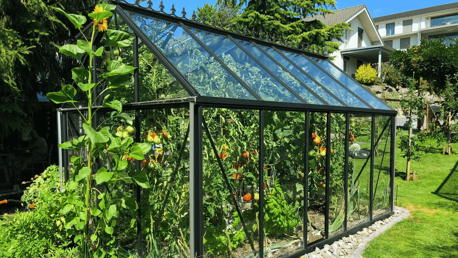 Why You Should Have a Greenhouse