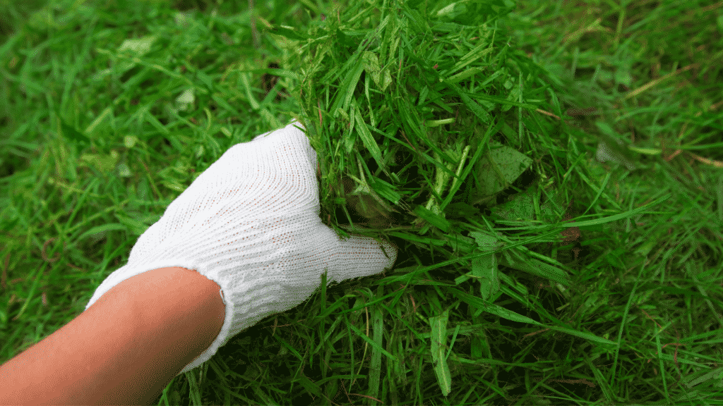 Farming Without Tools A Complete Guide To Gardening Without Tools - Little Leafy