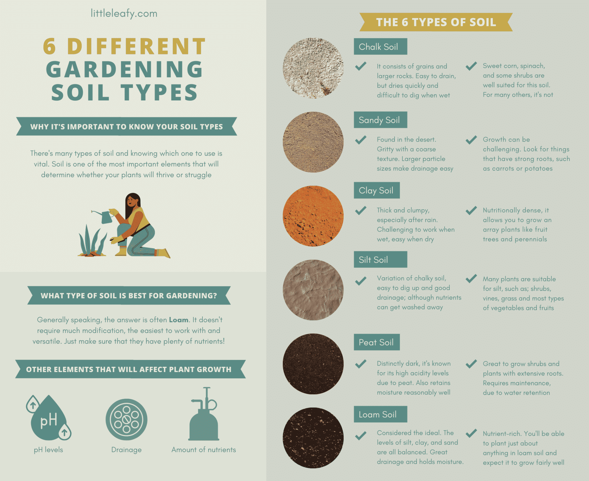 6 Different Gardening Soil Types (Explained) - Little Leafy