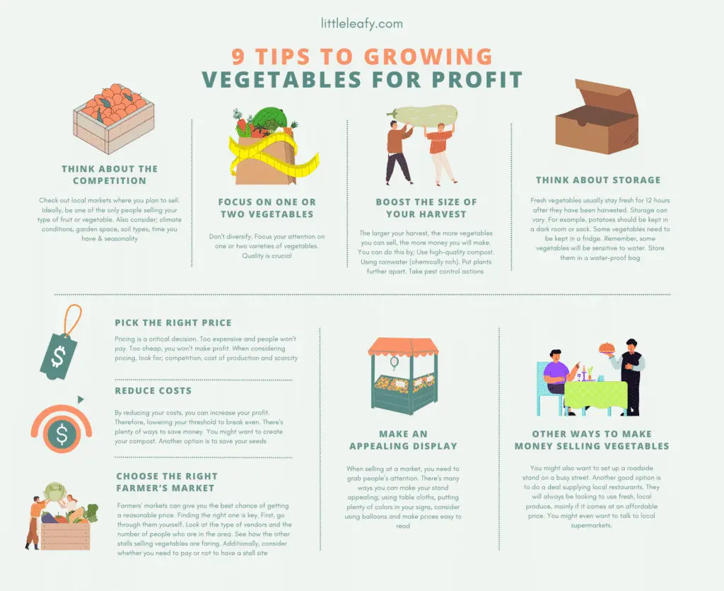 9 Tips To Growing Vegetables For Profit Infographic