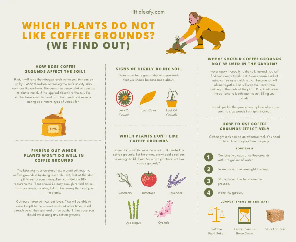 Which Plants Do Not Like Coffee Grounds Infographic