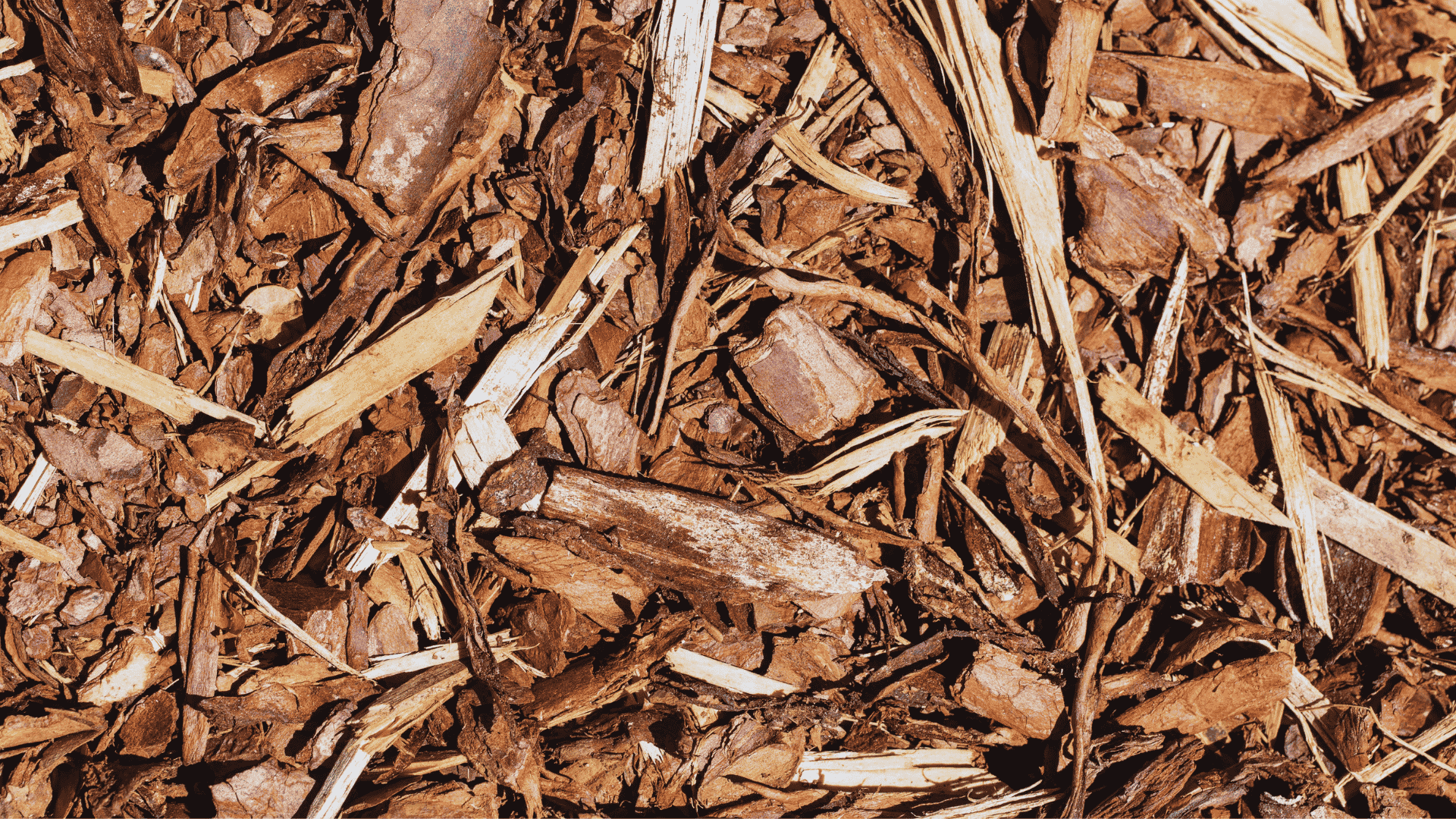 Can Mulch Prevent Soil Erosion