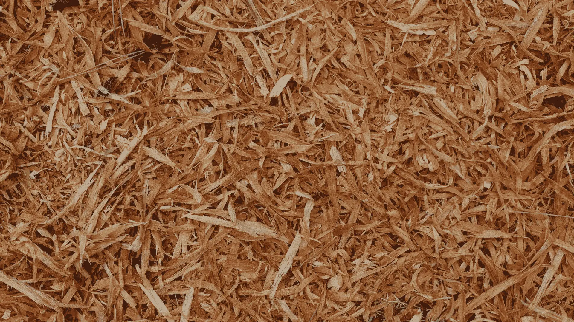 Can You Mulch With Pine Shavings