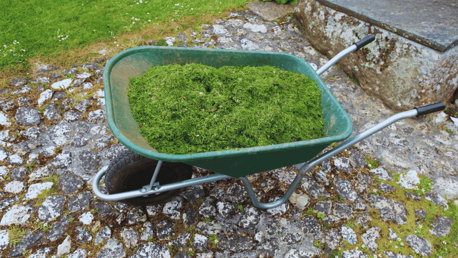 Can You Mulch With Grass Cuttings? Little Leafy