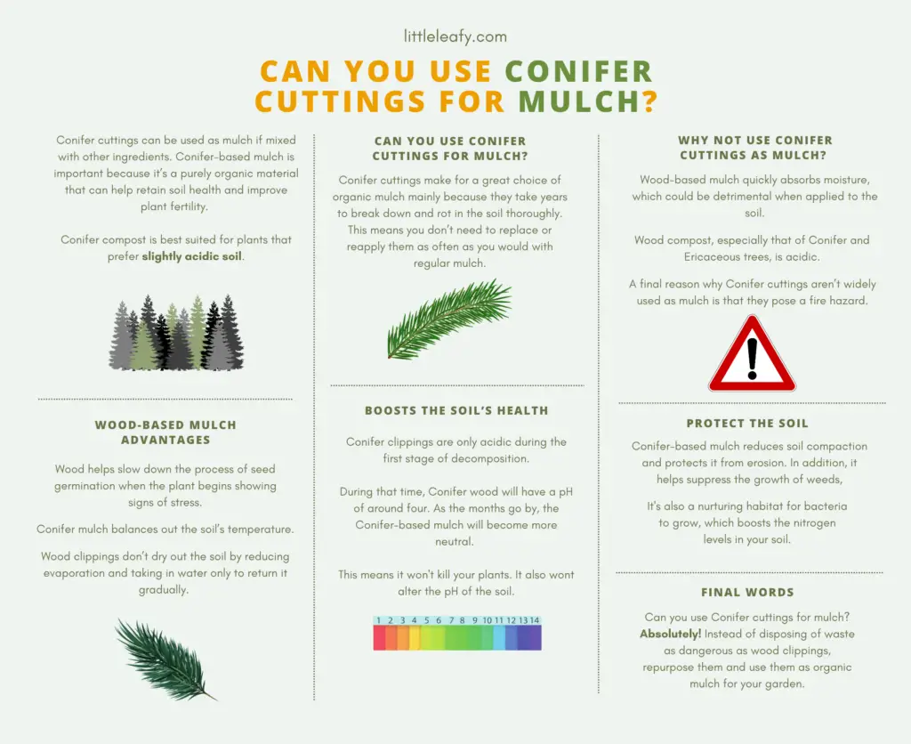 Can You Use Conifer Cuttings For Mulch