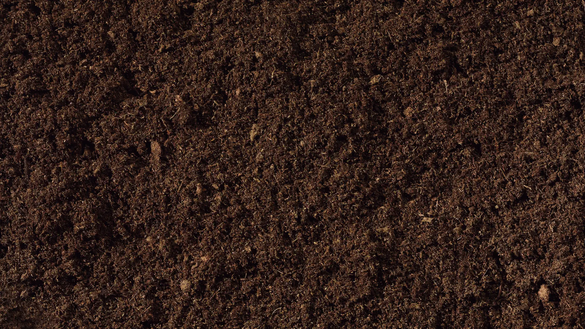 Can You Use Ericaceous Compost As A Mulch