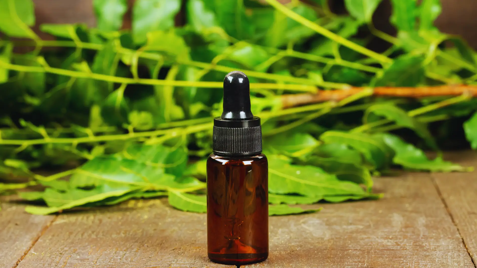 which plants do not like neem oil