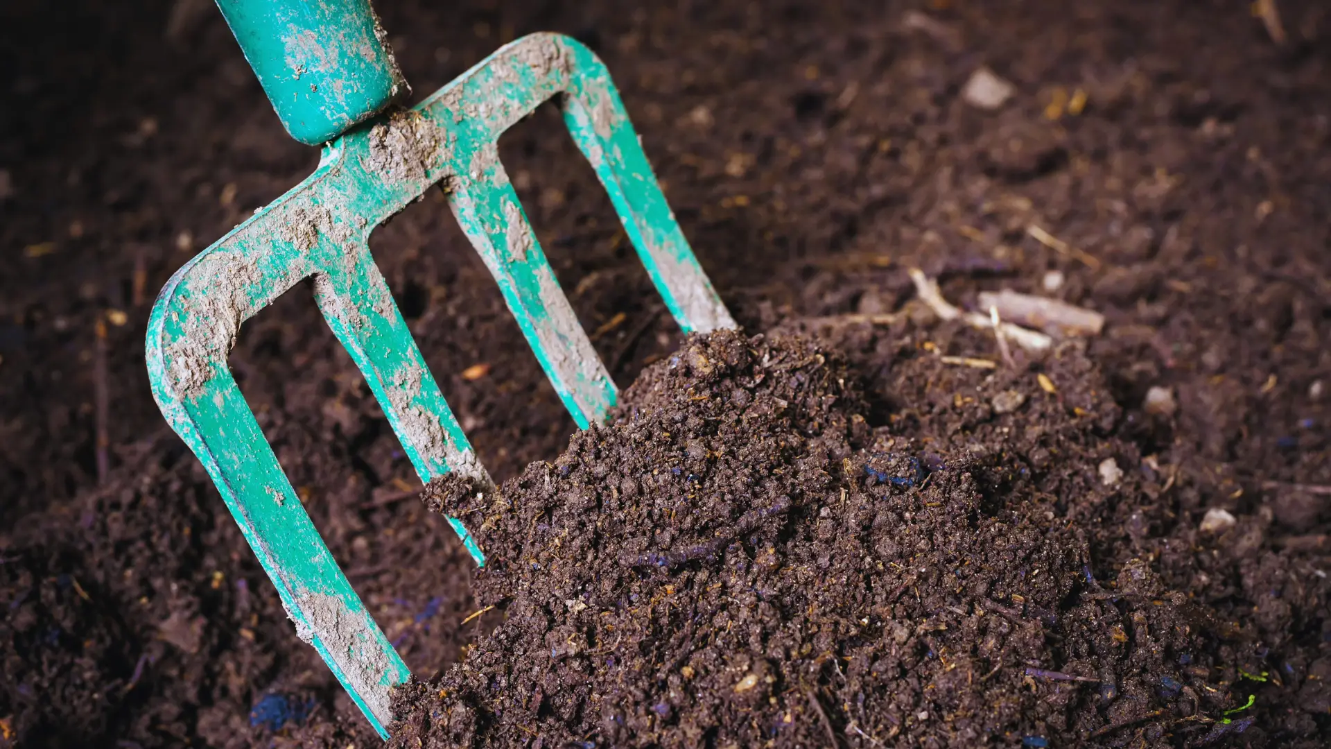 How Long Does Ericaceous Compost Last