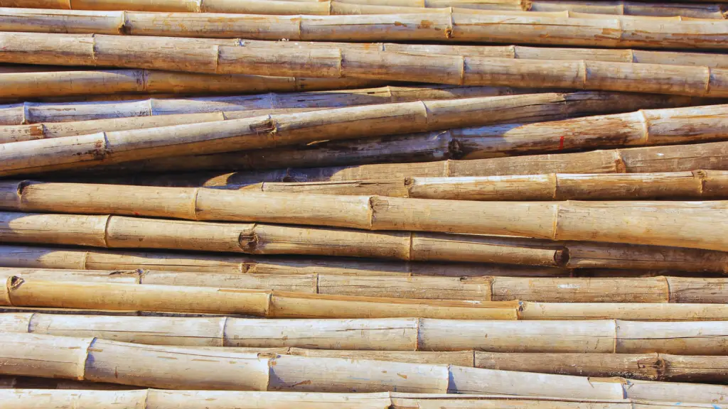 Can You Compost Bamboo? (Yes, Here's How) Little Leafy