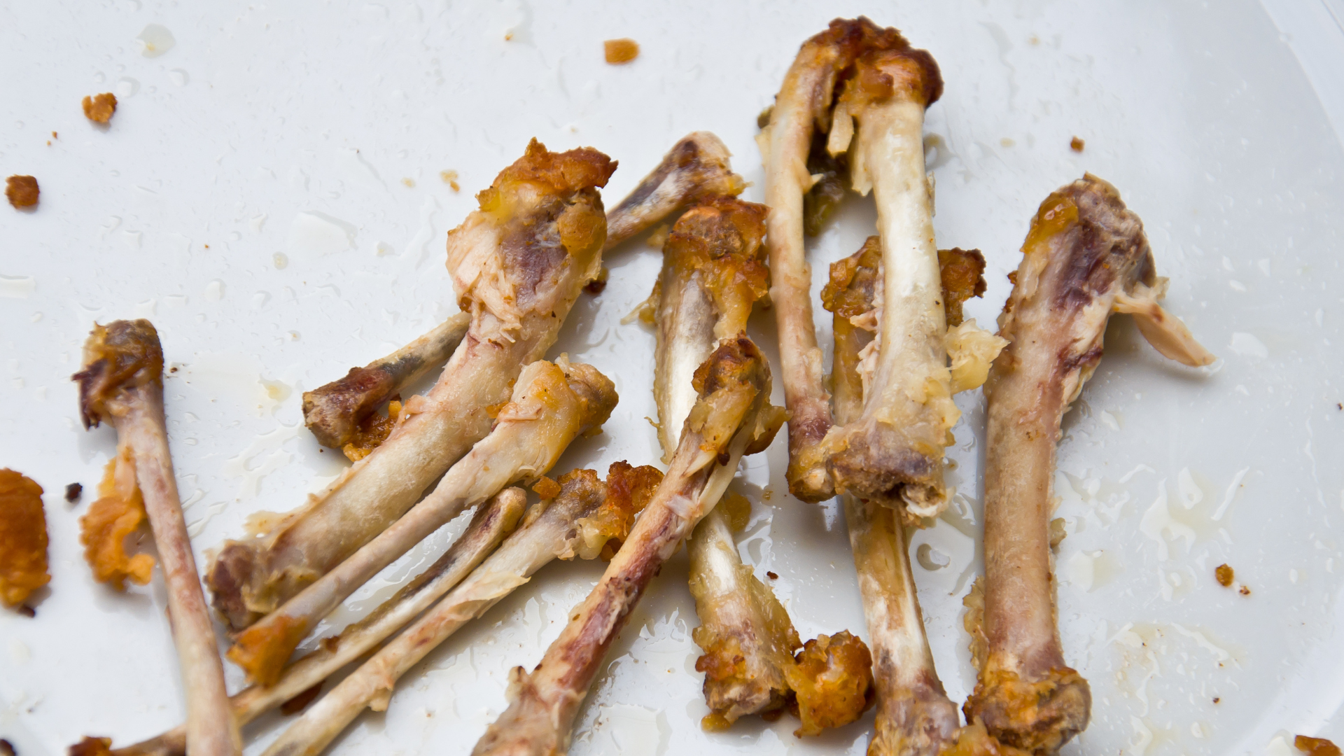 can a dog survive eating chicken bones