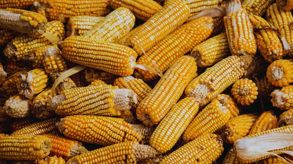 Easy Homemade Elote Recipe with Canned Corn 2023 AtOnce