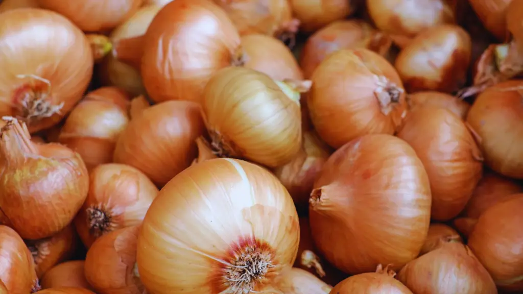 Can You Compost Onions? (Yes, Here's How) Little Leafy