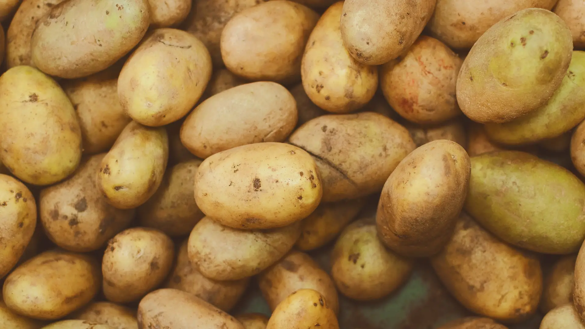 Can You Grow Potatoes in Ericaceous Compost